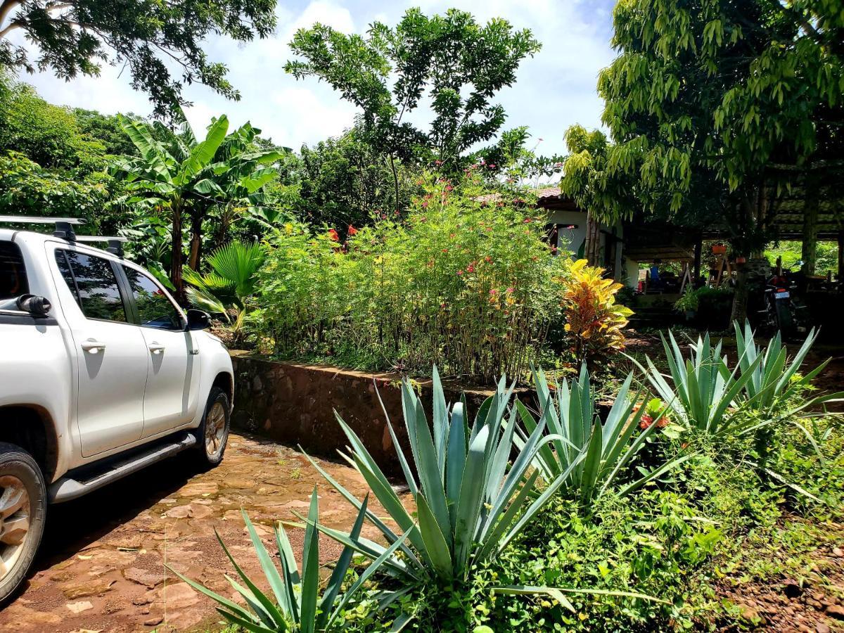 The Jungle Mérida Exterior foto