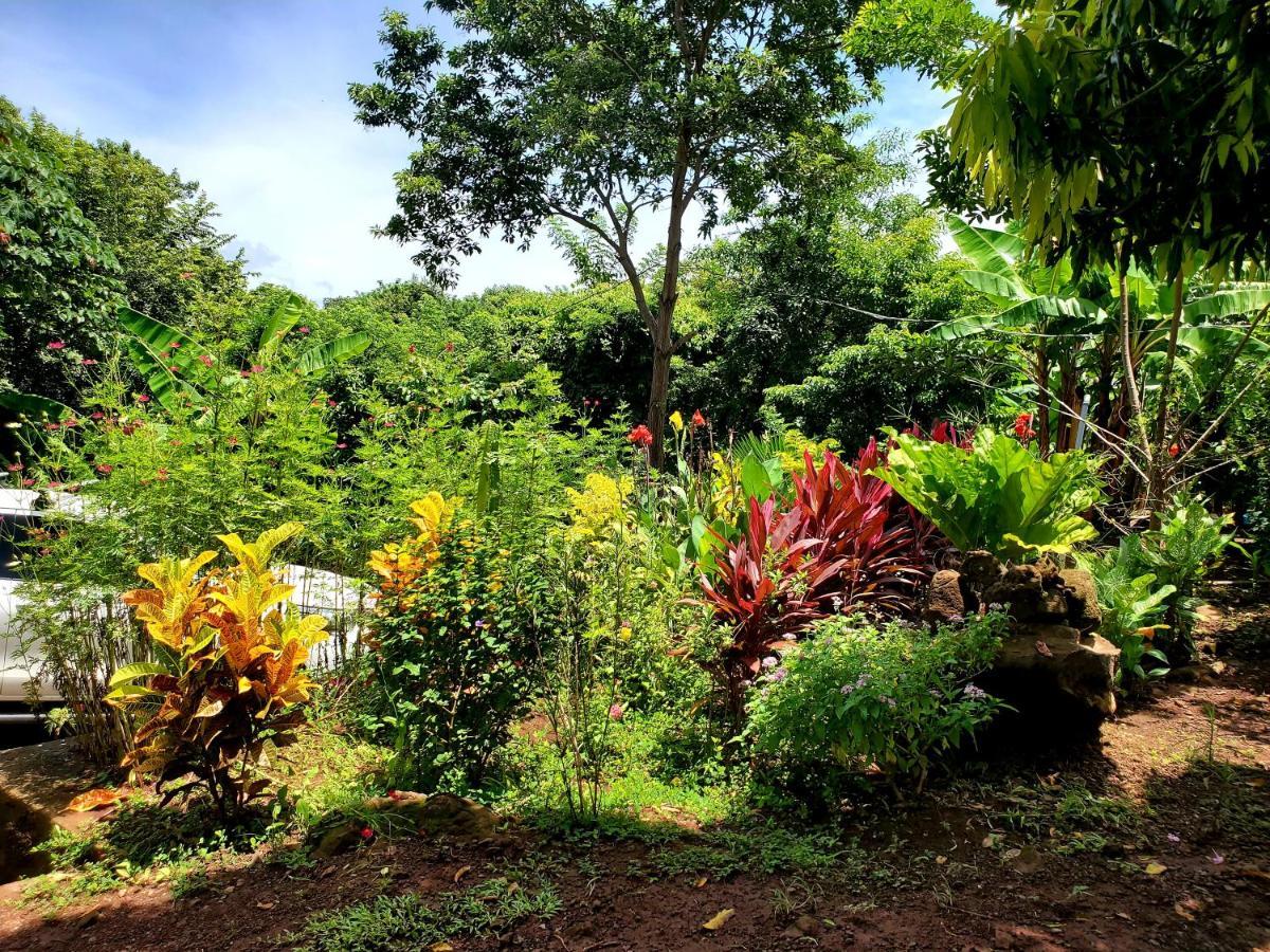 The Jungle Mérida Exterior foto