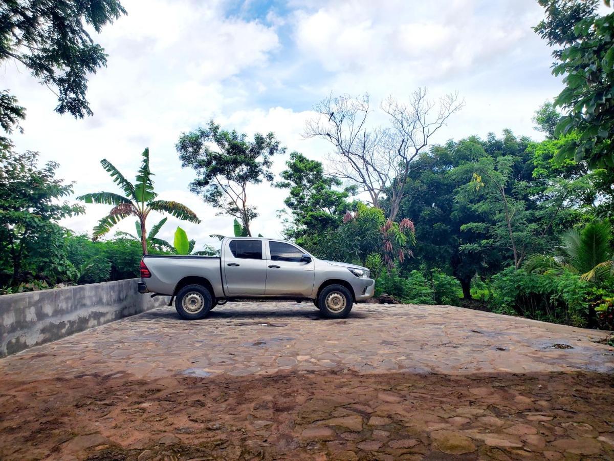 The Jungle Mérida Exterior foto