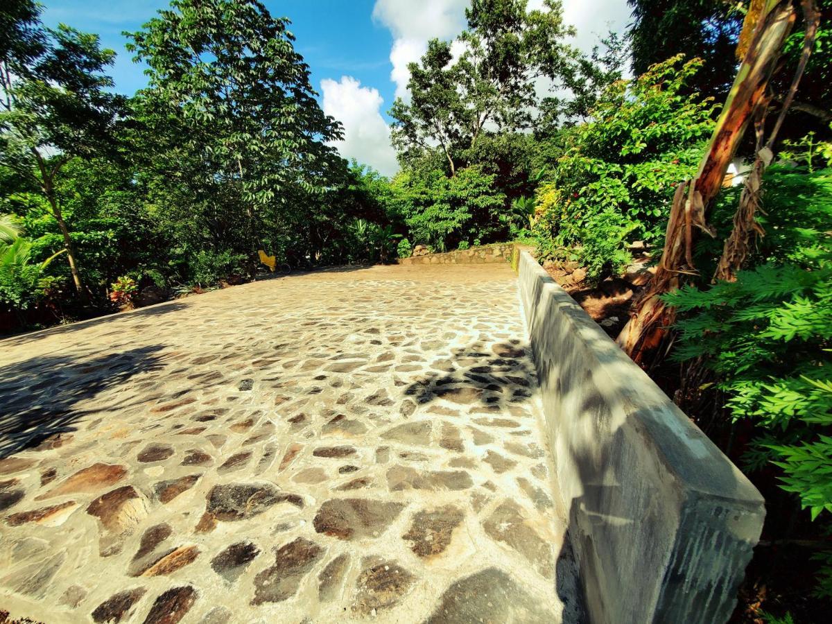 The Jungle Mérida Exterior foto