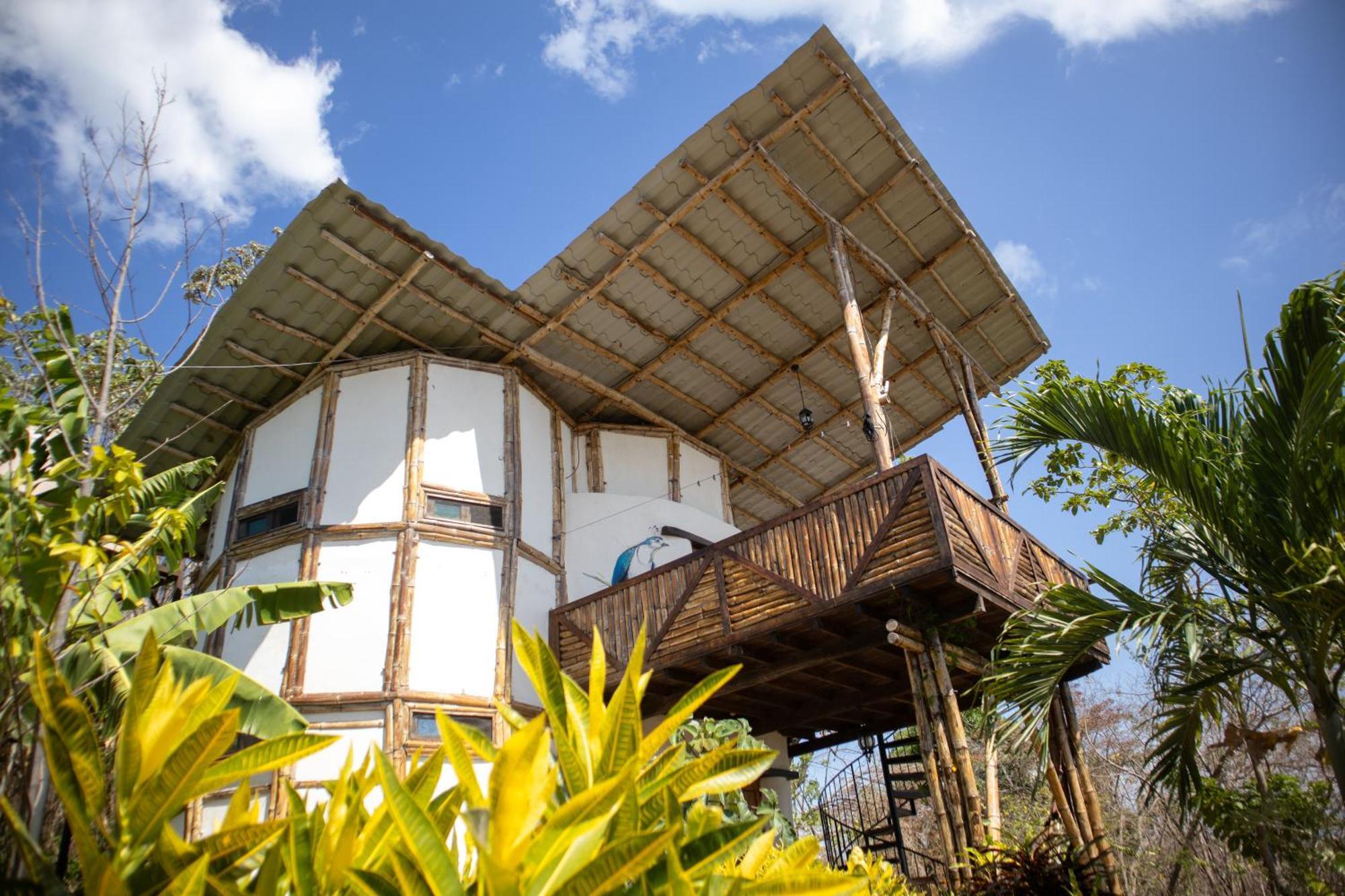 The Jungle Mérida Exterior foto