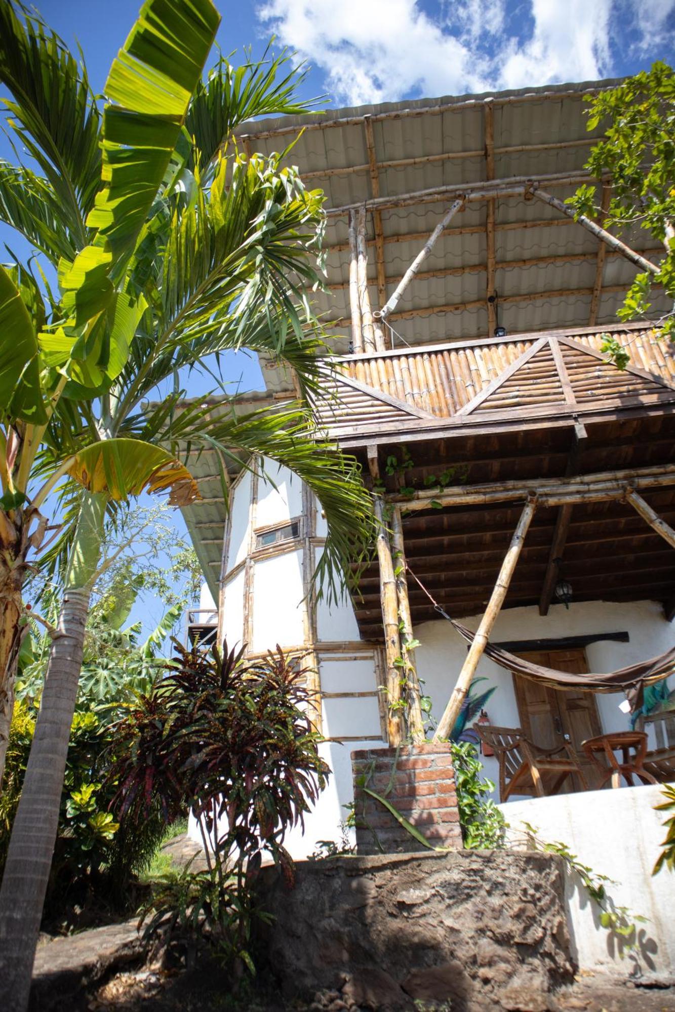 The Jungle Mérida Exterior foto